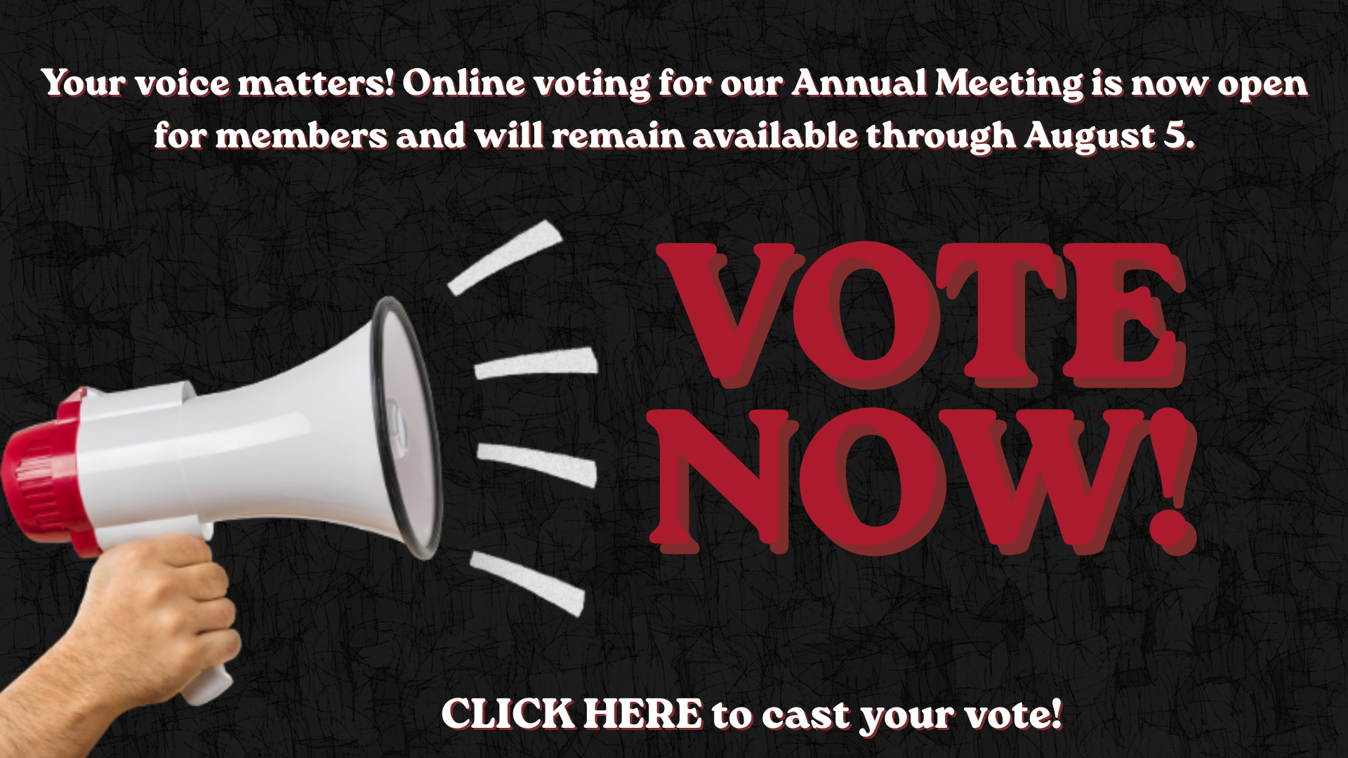 Vote Now