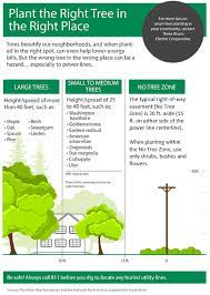 Green Tree Brochure
